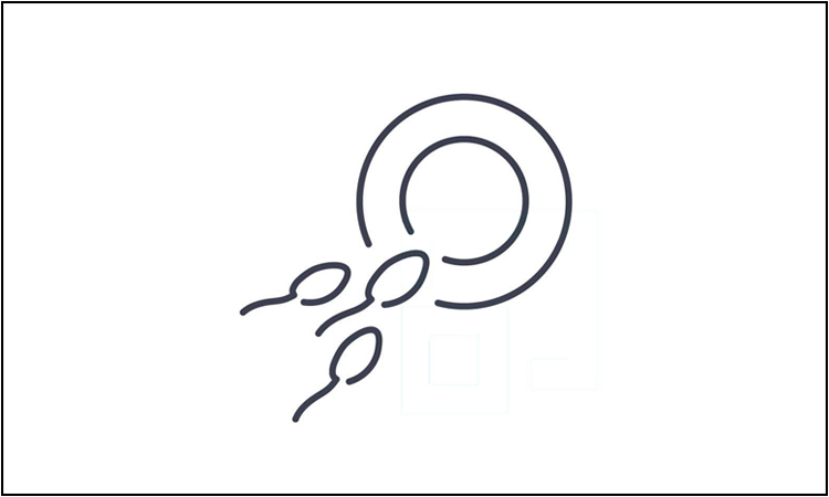 icon3