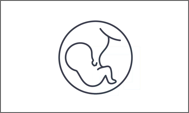 icon5